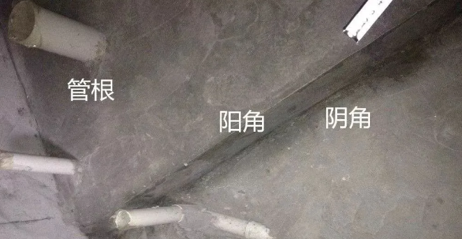 32251534.png 32251534.png